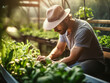 A gardener tending to plants in a greenhouse, eco-conscious, natural greenhouse lighting