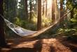 AI illustration of a hammock suspended between two tall pine trees in a sun-drenched forest.