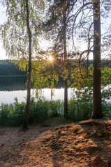 Wall Mural - Sun rays shining through the trees above the lake in the coniferous forest