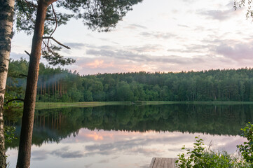 Wall Mural - Summer forest lake. Fog on the water surface