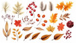 Set of watercolor autumn spices elements