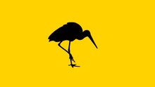 Walking Stork, Animation On The Yellow Background (seamless Loop)