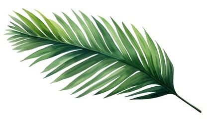 Sticker - Watercolor painting of green palm leaves isolated on white background