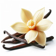Dried vanilla sticks and orchid vanilla flower isolated on white background. Generative AI.