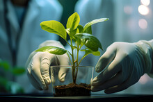 Research And Development Of Plants For Sustainable Food