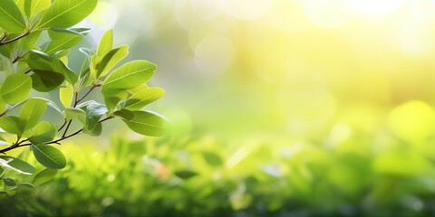 Canvas Print - Refreshing Morning Greenery  Soft Focus Spring Summer Landscape, Generative AI