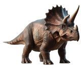 Fototapeta  - triceratops isolated on white