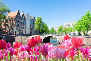 Wall Mural - historical houses of amsterdam over canal ring landmark in old european citye, holand netherlands. a