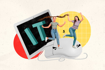 Poster - Poster picture 3d collage of cheerful happy girl it specialists coding programming dancing isolated on drawing background