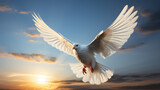 Fototapeta  - Heavenly white dove symbolizes love and peace