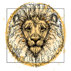 Wall Mural - graphic portrait of a lion in sketch style with splashes of watercolor.