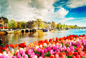 Wall Mural - embankment of amstel canal with spring tulips in amsterdam, netherlands, retro toned