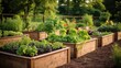 © Ali - Vegetable garden in the summer. Growing vegetables in the garden