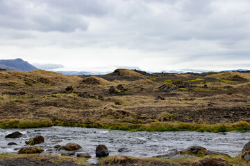 Wall Mural - A river in Iceland with a meadow in the foreground and a glacier in the background 