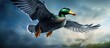 serene embrace of nature a graceful wild duck with vibrant green feathers soars through the sky its cute quacking filling the air embodying the captivating beauty of wildlife