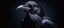 Sprawling Depths Of Nature Amidst The Vibrant Earth And Magnificent Wildlife A Black Crow Stood Its Brilliant Black Feathers Forming A Striking Contrast Against The Backdrop With A Face That