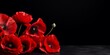 Red poppies on black background. Remembrance Day, Armistice Day symbol, red flower frame with copy space.