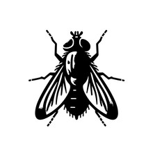 Fly Vector Logo Art