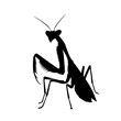 Praying Mantis Vector Logo Art
