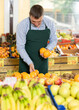 Focused interested greengrocery store owner wearing green apron carefully arranging ripe oranges on fruit stall
