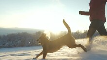LENS FLARE, CLOSE UP: Golden Glittering Snowflakes As Woman And Dog Run In Snow. Active Lady Enjoys With Her Playful Brown Doggo On A Winter Walk Above Snowy Alpine Valley In Beautiful Sunset Light.