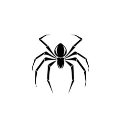 Wall Mural - Spider Vector