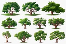 Variety Of Majestic Trees In Beautiful Icons Generative AI