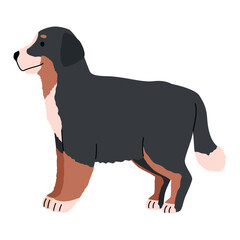 Sticker - dog breed bernese mountain