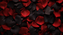 Red Rose Petals On Black Background