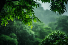 The Rain Drops Water Over Green Leaves In A Rainforest