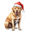 Mastiff dog with santa hat. Watercolor illustration isolated on transparent background.