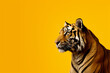 A tiger on a yellow and orange background, showcasing minimal retouching, back button focus, and a stylish, clean, minimalistic approach.
