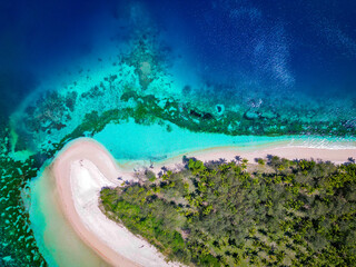 Wall Mural - top down view of tropical beach with palm trees, white sand and corals in the shallow turquoise wate
