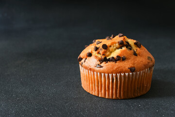 Wall Mural - Muffins with chocolate chips on a dark background