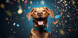 birthday dog on blue background with confetti