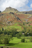 Fototapeta Big Ben - Harrison Stickle and the Langdale Pikes above the valley of Great Langdale in the Lake District