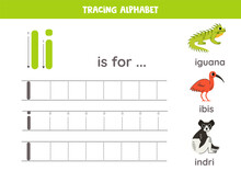 Tracing All Letters Of English Alphabet. Preschool Activity For Kids. Writing Uppercase And Lowercase Letter I. Printable Worksheet. Cute Illustration Of Iguana, Indri, Ibis.