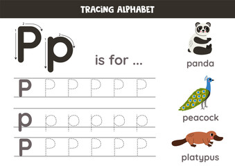 Wall Mural - Tracing all letters of English alphabet. Preschool activity for kids. Writing uppercase and lowercase letter P.  Cute illustration of panda, peacock, platypus. Printable worksheet.P