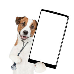 Poster - Funny jack russell terrier wearing like a doctor with stethoscope on his neck showing big smartphone with white blank screen in it paw. isolated on white background
