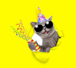 Aufkleber - Happy cat wearing wearing sunglasses and party cap looks through a hole in yellow paper, blows in party horn and holds exploding firecracker