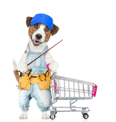 Poster - Funny Jack russell terrier puppy wearing blue cap and denim overalls with tool belt pushing the shopping cart and pointing away on empty space. isolated on white background