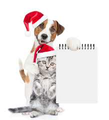 Aufkleber - Funny Jack russell terrier puppy and funny cute kitten wearing santa hats standing together. Dog shows empty notepad. isolated on white background