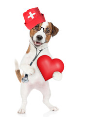 Sticker - Funny jack russell terrier wearing like a doctor with stethoscope on his neck holds red heart. isolated on white background