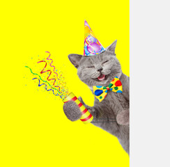 Aufkleber - Happy cat wearing party cap holds exploding firecracker and looks from behind empty white banner. Isolated on yellow background