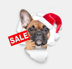 Poster - Happy French bulldog puppy wearing sunglasses and red santa hat looking through the hole in white paper and showing signboard with labeled 