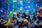 Fototapeta Do akwarium - a rainbow-colored tank filled with assorted species of fish