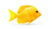 Tang Yellow Fish Isolated On White Background