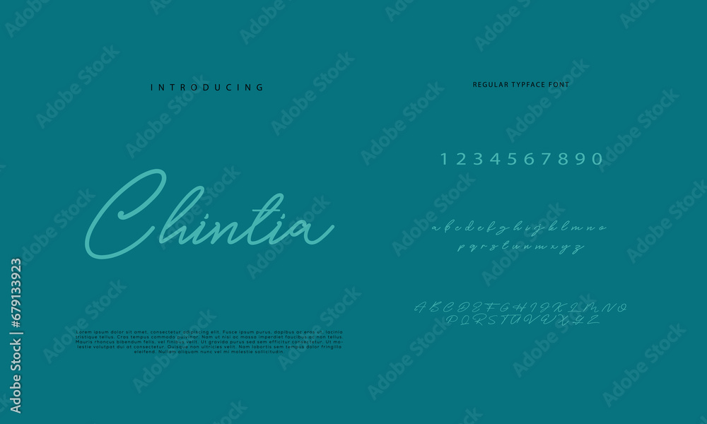 Brophy Script Handwritten Script font. Hand drawn brush style modern calligraphy ...