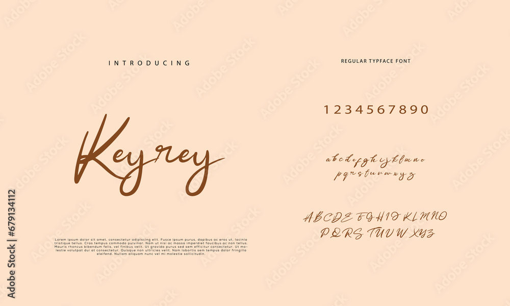 Script Word Typo Handwritten Script font. Hand drawn brush style modern calligraphy ...