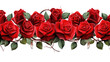 Roses border watercolor, red flowers, wedding decor, png